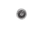 NUMIES